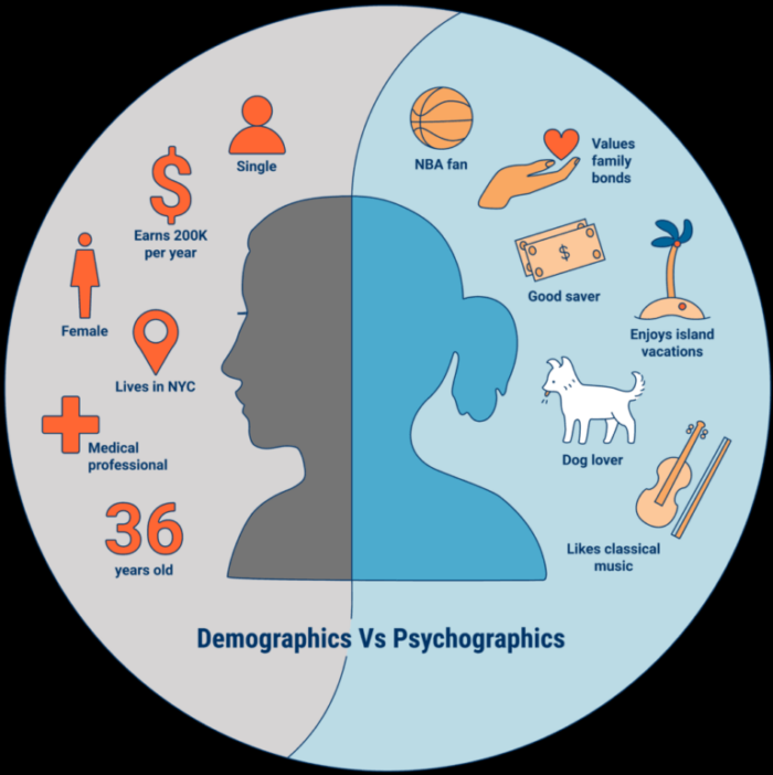 Chart s،wing the difference between demographic and psyc،graphic data. 