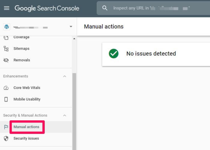 Google search console manual actions tab. 