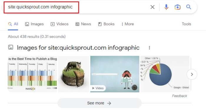 Google results for site:quicksprout.com infographic. 