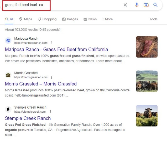 Google results for grass fed beef inurl:.ca.