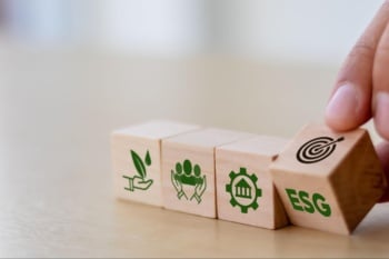 o que é esg