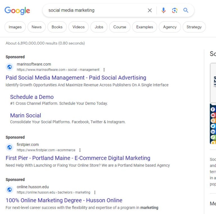 Google results for social media marketing. 
