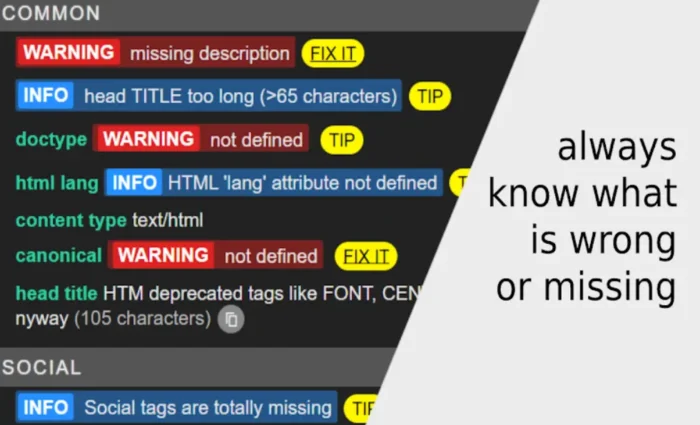 Meta Inspector Chrome extension page screenshot SEO Chrome extension