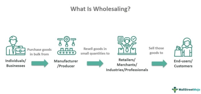 wholesale model distribution channels