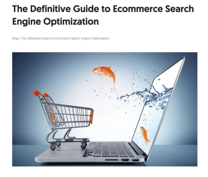 The definitive guide to ecommerce search engine optimization. 