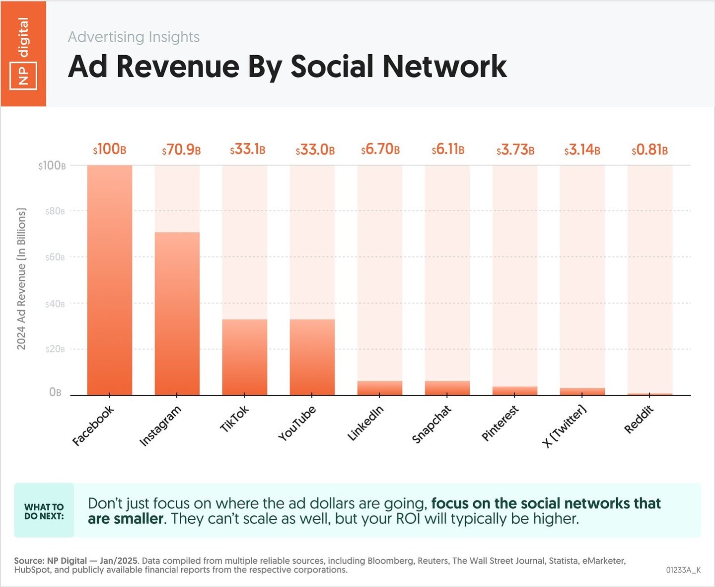 NP Digital graph showing ad revenue by social network.