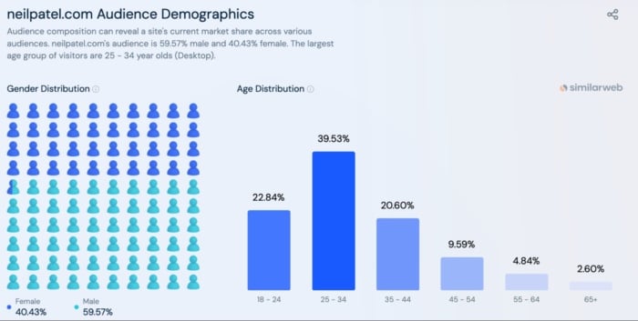 Neilpatel.com audience demographics. 