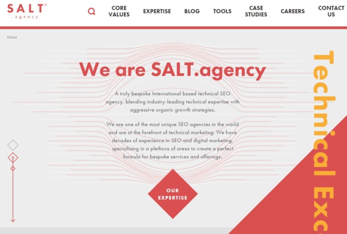https://salt.agency/ - The 10 Top Technical SEO Companies in The World. technical SEO agency