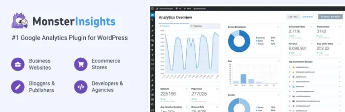 MonsterInsights WP Plugin Dashboard