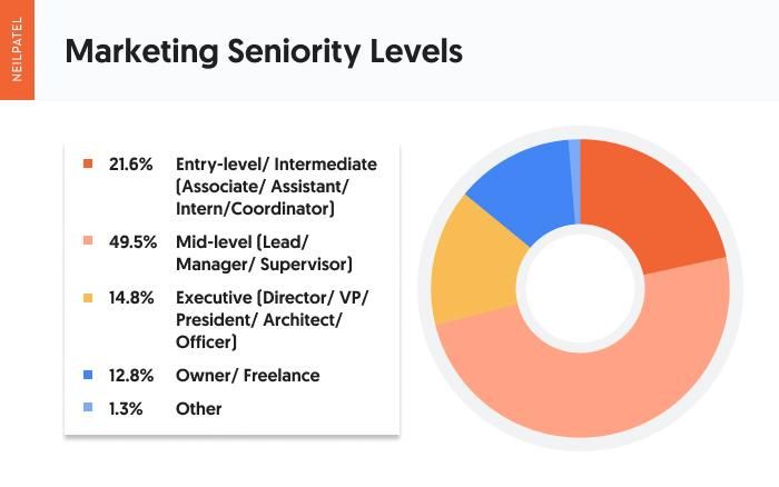 pie chart of marketing seniority levels