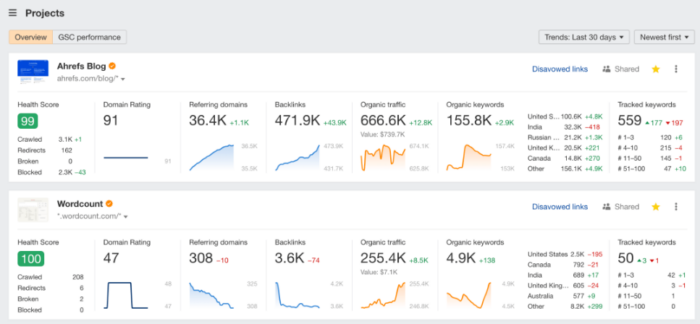 Mangools vs Ahrefs 002 700x324 - The Definitive Breakdown of Mangools vs. Ahrefs