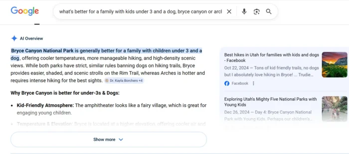 A Google search AIO query.