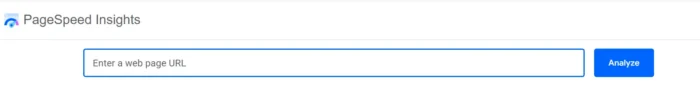 Pagespeed insights' search bar.