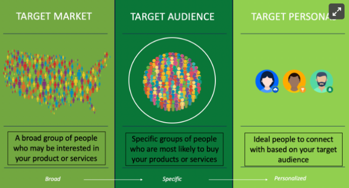 infographic describing target market, target audience, and target personas
