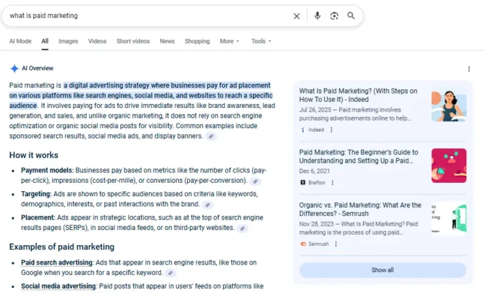 An AI overview for what is paid marketing.
