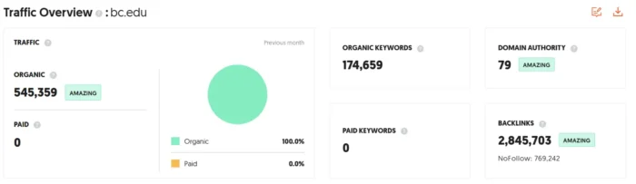 The traffic overview tab in Ubersuggest.