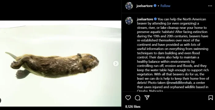 A post from Joel Sartore on instagram.