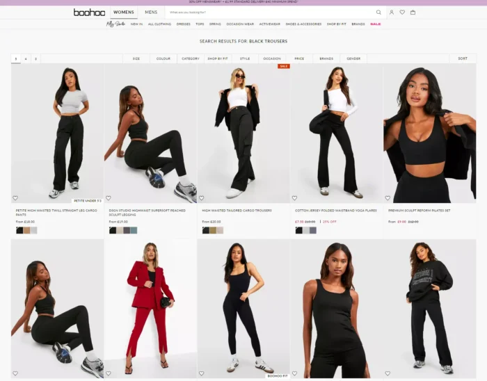Example of a search section of a clothing website