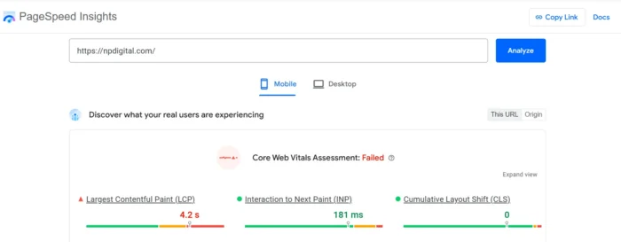 Google’s PageSpeed Insights report for npdigital.com. 
