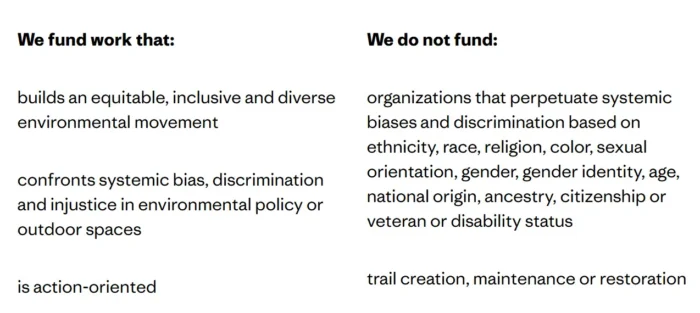 Patagonia webpage outlining causes the company funds and does not fund, illustrating clear brand values and consistent public positioning. 