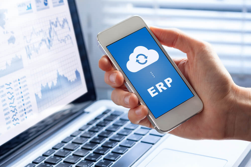 tipos de sistema ERP