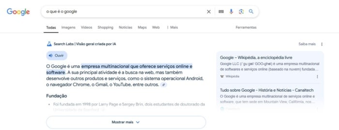 print de pesquisa: o que é google