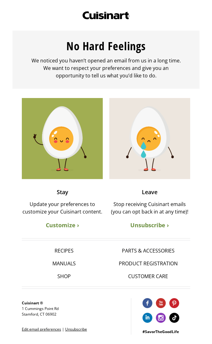 Re-engagement email example from culinary brand Cuisinart.