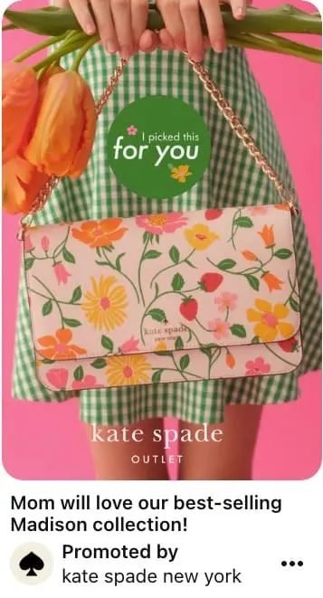 A Pinterest ad type.