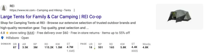 Schema data on Google.