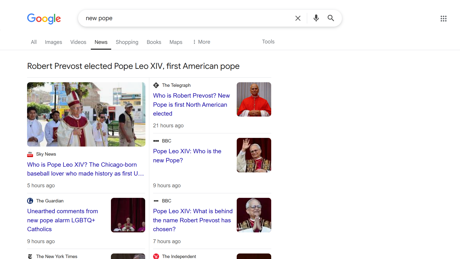 Search results for "new pope."