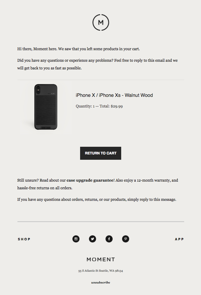 An abandoned cart email example.