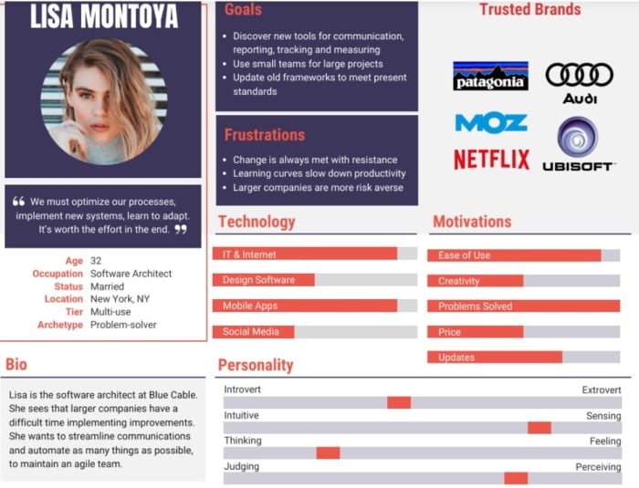 Bluecable's user persona example.