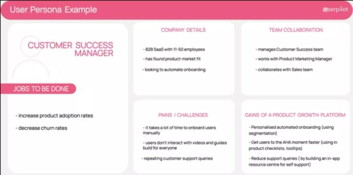 Userpilot's persona example.