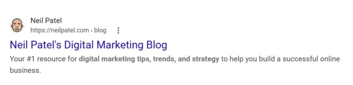 A screenshot of how neilpatel.com shows up in Google search results, displaying a meta description that both tells readers what to expect and entices them to click.