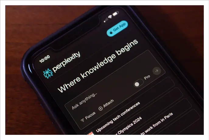 The Perplexity interface.