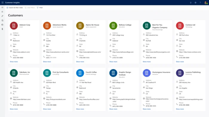 Microsoft's Customer Data Platform.