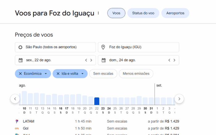 recursos de SERP: google voos