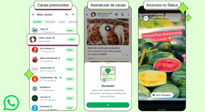 Tipos de anuncios disponiveis no wathsapp