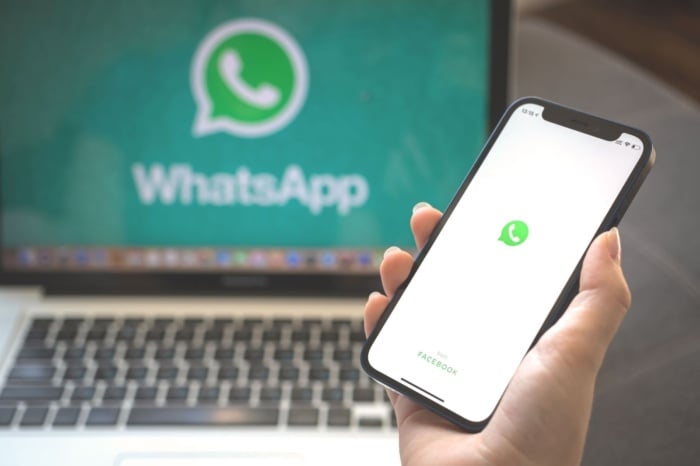 wathsapp no clular e em um nootbok