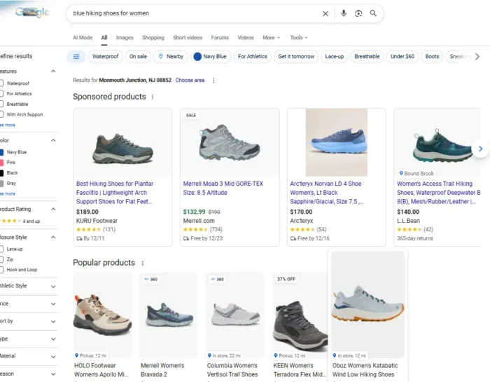 Example results for Blue Hiking Shoes for women.