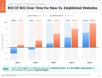 ROI Of SEO Over Time For New Vs. Established Websites