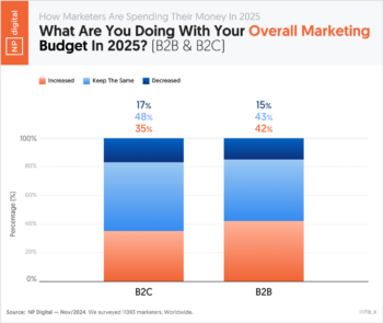 What Are You Doing With Your Overall Marketing Budget In 2025? (B2B & B2C)