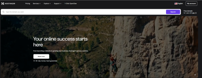Hostinger's website.