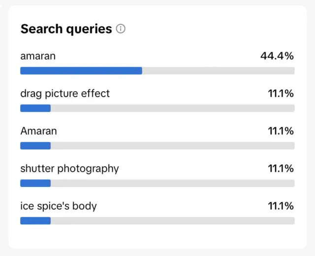 Search queries in TikTok.