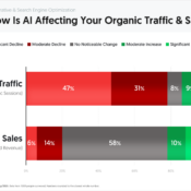 How AI Is Affecting Organic Traffic and Sales: Most Feel the Traffic Hit