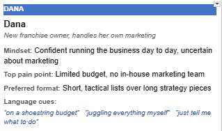 An example mini-persona.