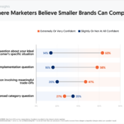 Where Marketers Believe Smaller Brands Can Compete