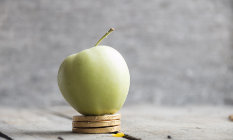 When Can You Expect Your Content Marketing Efforts to Bear Fruit?