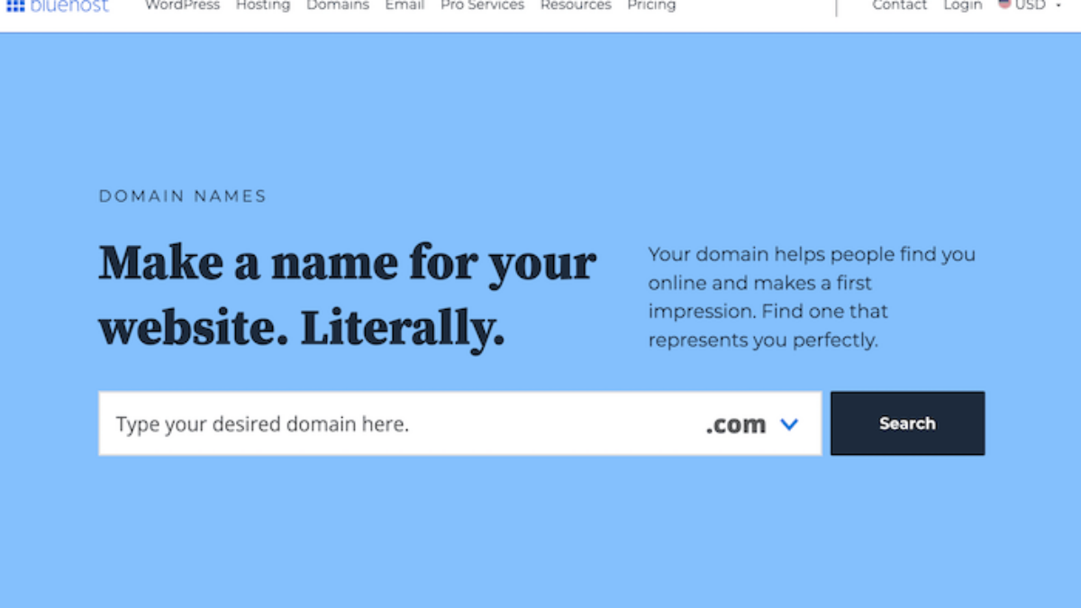 How To Find Out Who Owns a Domain Name via WHOIS (2023)