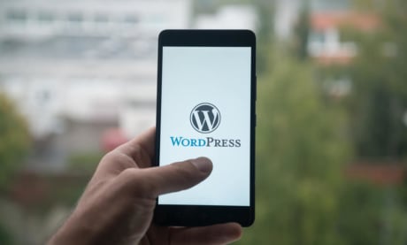 Melhor Hospedagem WordPress: Como Escolher e o Que Buscar